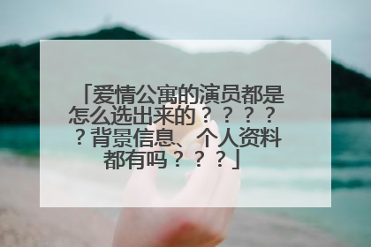 爱情公寓的演员都是怎么选出来的?????背景信息、个人资料都有吗???