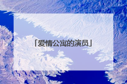 爱情公寓的演员