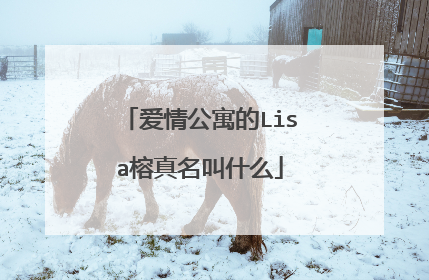爱情公寓的Lisa榕真名叫什么