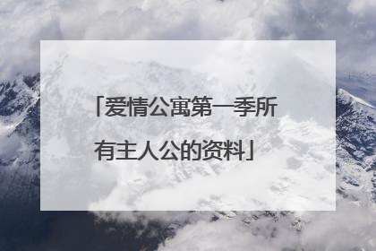 爱情公寓第一季所有主人公的资料