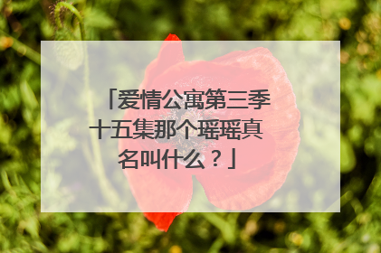 爱情公寓第三季十五集那个瑶瑶真名叫什么？