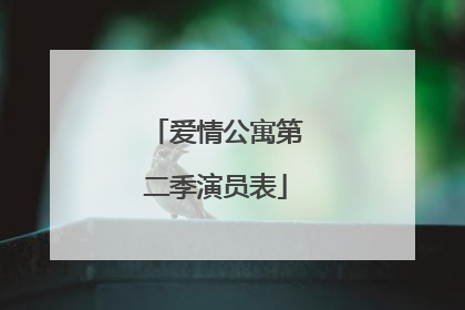 爱情公寓第二季演员表