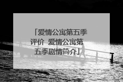 爱情公寓第五季评价 爱情公寓第五季剧情简介