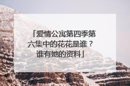 爱情公寓第四季第六集中的花花是谁?谁有她的资料