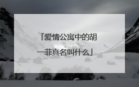 爱情公寓中的胡一菲真名叫什么