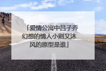 爱情公寓中吕子乔幻想的情人小则又沐风的原型是谁