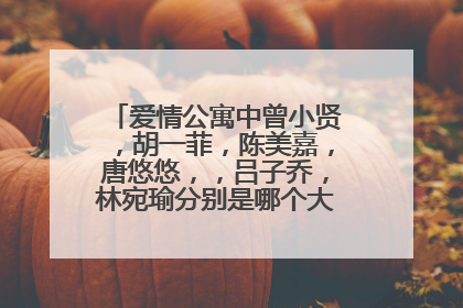 爱情公寓中曾小贤，胡一菲，陈美嘉，唐悠悠，，吕子乔，林宛瑜分别是哪个大学毕业的？