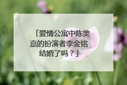爱情公寓中陈美嘉的扮演者李金铭结婚了吗？