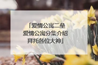 爱情公寓二垒 爱情公寓分集介绍拜托各位大神