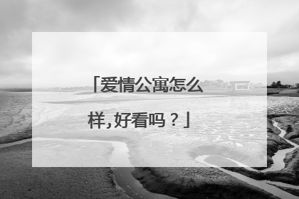 爱情公寓怎么样,好看吗？
