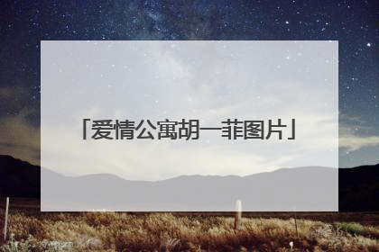 爱情公寓胡一菲图片