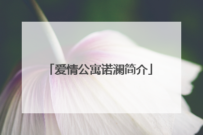 爱情公寓诺澜简介