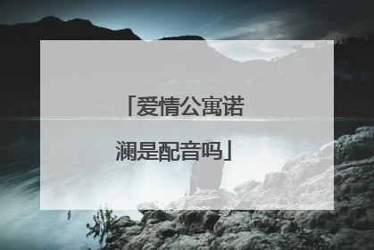 爱情公寓诺澜是配音吗