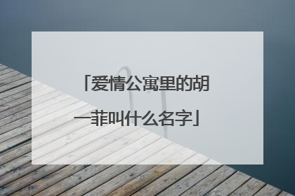 爱情公寓里的胡一菲叫什么名字