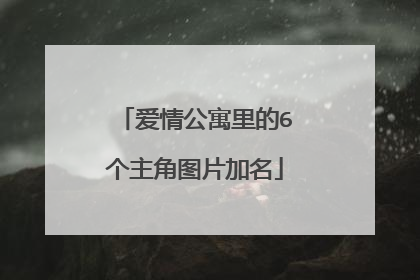 爱情公寓里的6个主角图片加名