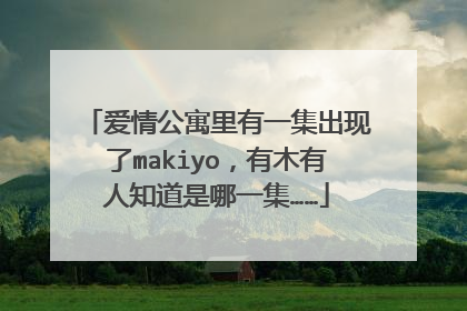 爱情公寓里有一集出现了makiyo，有木有人知道是哪一集……