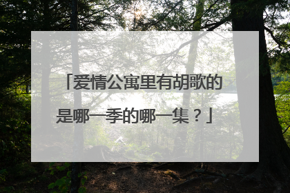 爱情公寓里有胡歌的是哪一季的哪一集？