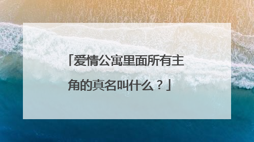 爱情公寓里面所有主角的真名叫什么?