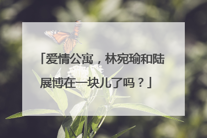 爱情公寓，林宛瑜和陆展博在一块儿了吗？