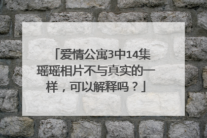 爱情公寓3中14集瑶瑶相片不与真实的一样，可以解释吗？