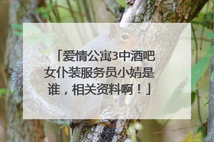 爱情公寓3中酒吧女仆装服务员小婧是谁,相关资料啊!