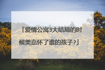 爱情公寓3大结局的时候美嘉怀了谁的孩子?
