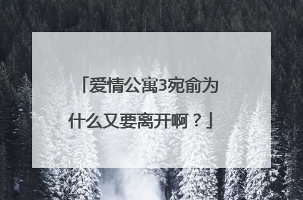 爱情公寓3宛俞为什么又要离开啊?