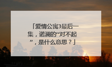 爱情公寓3最后一集,诺澜的“对不起”,是什么意思?