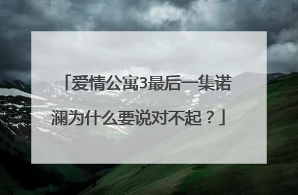爱情公寓3最后一集诺澜为什么要说对不起？