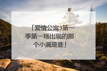 爱情公寓3第一季第一场出现的那个小澜是谁