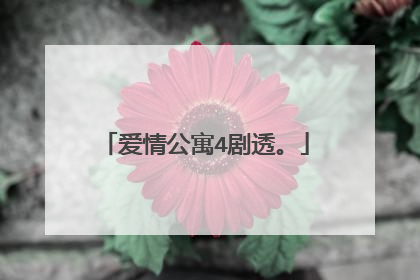 爱情公寓4剧透。