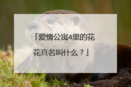 爱情公寓4里的花花真名叫什么？