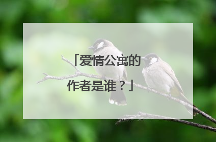 爱情公寓的作者是谁？