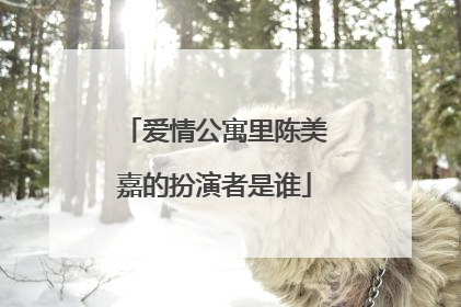 爱情公寓里陈美嘉的扮演者是谁