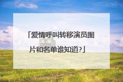 爱情呼叫转移演员图片和名单谁知道?