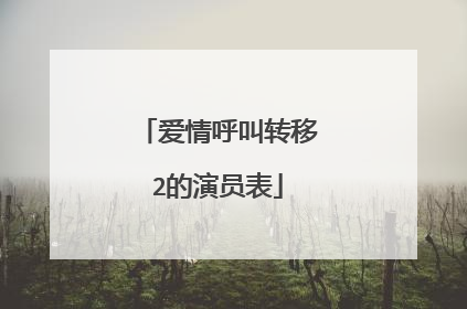 爱情呼叫转移2的演员表