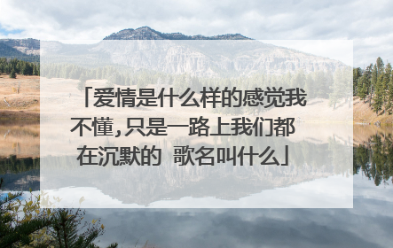 爱情是什么样的感觉我不懂,只是一路上我们都在沉默的 歌名叫什么
