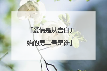 爱情是从告白开始的男二号是谁