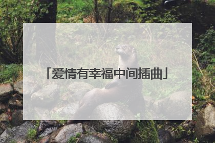 爱情有幸福中间插曲