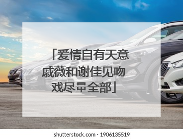 爱情自有天意戚薇和谢佳见吻戏尽量全部