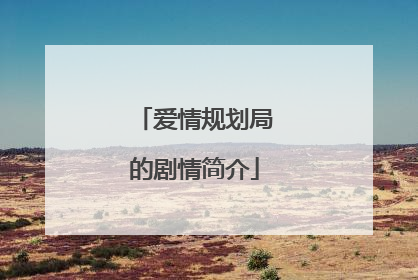 爱情规划局的剧情简介