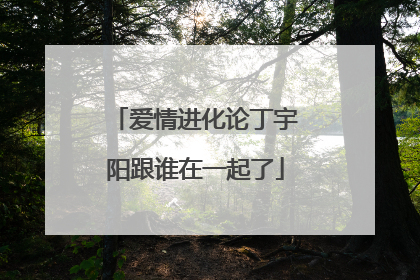 爱情进化论丁宇阳跟谁在一起了