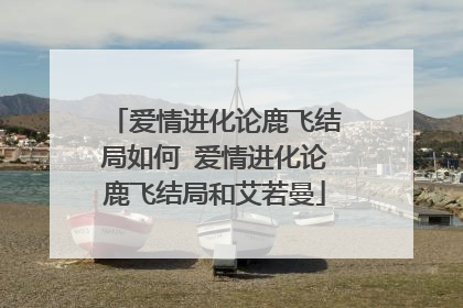 爱情进化论鹿飞结局如何 爱情进化论鹿飞结局和艾若曼
