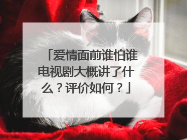 爱情面前谁怕谁电视剧大概讲了什么？评价如何？