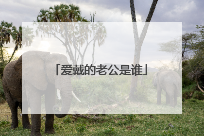 爱戴的老公是谁