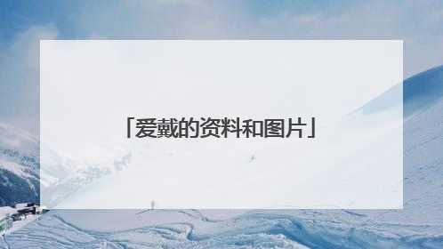 爱戴的资料和图片