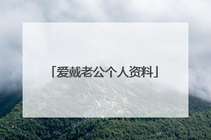 爱戴老公个人资料