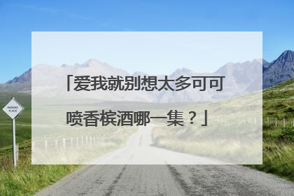 爱我就别想太多可可喷香槟酒哪一集?