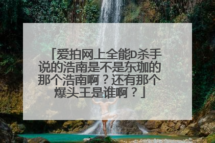 爱拍网上全能D杀手说的浩南是不是东珈的那个浩南啊？还有那个爆头王是谁啊？
