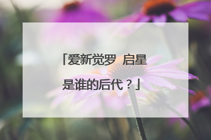 爱新觉罗 启星 是谁的后代?